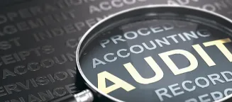 Audit Support